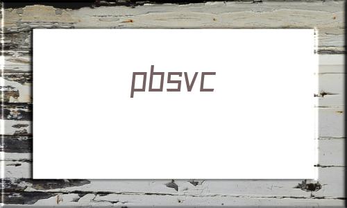 pbsvc(pbsvc不允许打开)